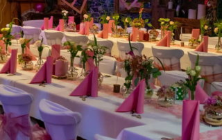 DJ Wendisch Rietz - Landhaus im Grünen - Partyraum